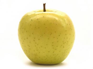 ябълка, ябълка сорт Златна превъзходна